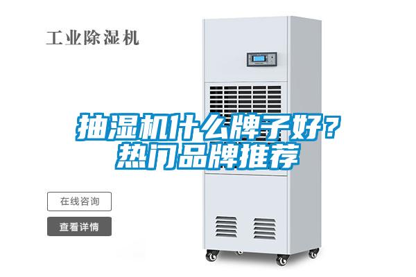 抽濕機什么牌子好？熱門品牌推薦