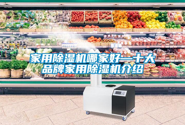 家用除濕機(jī)哪家好—十大品牌家用除濕機(jī)介紹