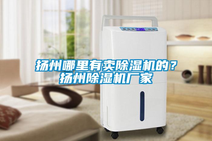 揚(yáng)州哪里有賣(mài)除濕機(jī)的？揚(yáng)州除濕機(jī)廠家