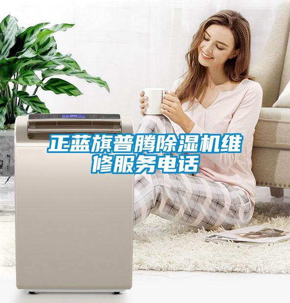 正藍旗普騰除濕機維修服務電話