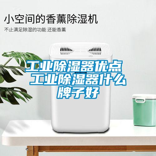 工業(yè)除濕器優(yōu)點 工業(yè)除濕器什么牌子好