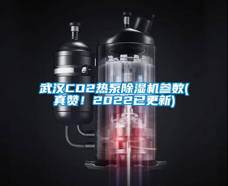 武漢CO2熱泵除濕機(jī)參數(shù)(真贊！2022已更新)