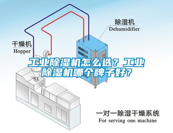 工業(yè)除濕機(jī)怎么選？工業(yè)除濕機(jī)哪個(gè)牌子好？