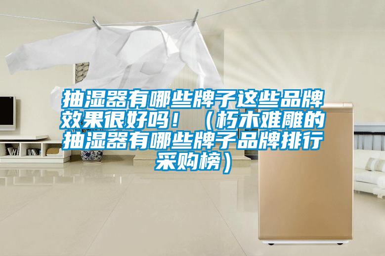 抽濕器有哪些牌子這些品牌效果很好嗎?。ㄐ嗄倦y雕的抽濕器有哪些牌子品牌排行采購榜）