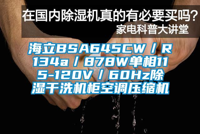 海立BSA645CW／R134a／878W單相115-120V／60Hz除濕干洗機柜空調壓縮機