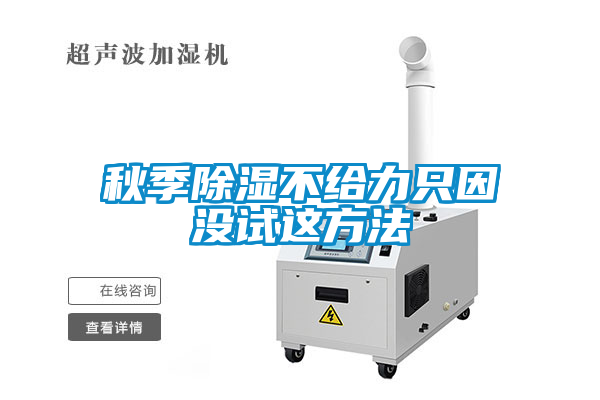 秋季除濕不給力只因沒(méi)試這方法