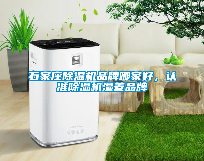 石家莊除濕機品牌哪家好，認準除濕機濕菱品牌