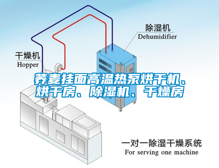 蕎麥掛面高溫?zé)岜煤娓蓹C(jī)、烘干房、除濕機(jī)、干燥房