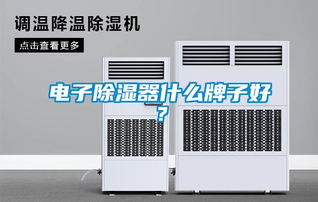 電子除濕器什么牌子好？