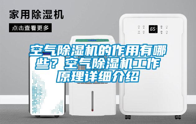 空氣除濕機的作用有哪些？空氣除濕機工作原理詳細介紹