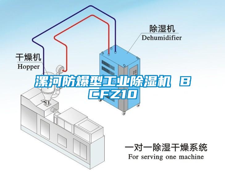 漯河防爆型工業(yè)除濕機 BCFZ10