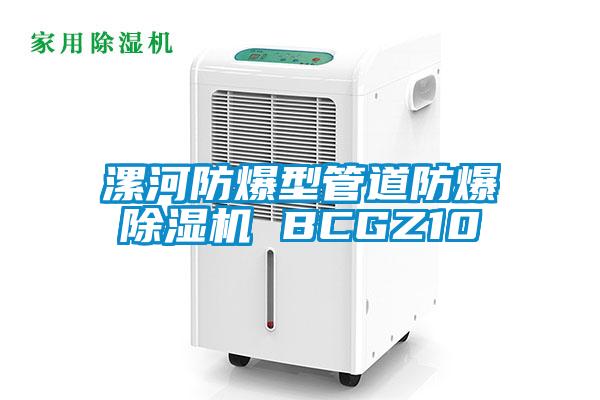 漯河防爆型管道防爆除濕機 BCGZ10