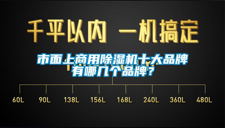 市面上商用除濕機(jī)十大品牌有哪幾個(gè)品牌？