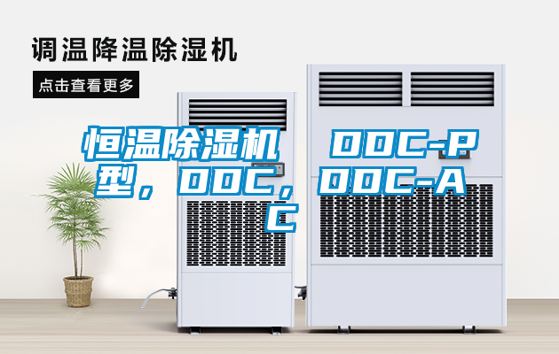 恒溫除濕機(jī)  DDC-P型，DDC，DDC-AC