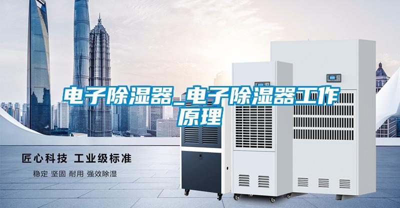 電子除濕器_電子除濕器工作原理