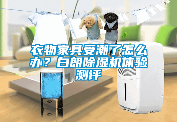 衣物家具受潮了怎么辦？白朗除濕機體驗測評