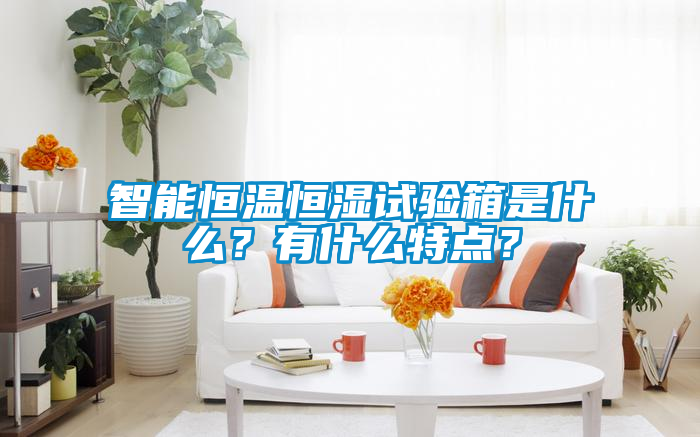 智能恒溫恒濕試驗(yàn)箱是什么？有什么特點(diǎn)？