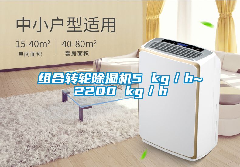 組合轉(zhuǎn)輪除濕機(jī)5 kg／h~2200 kg／h