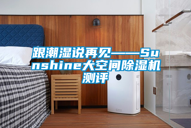 跟潮濕說再見——Sunshine大空間除濕機(jī)測(cè)評(píng)