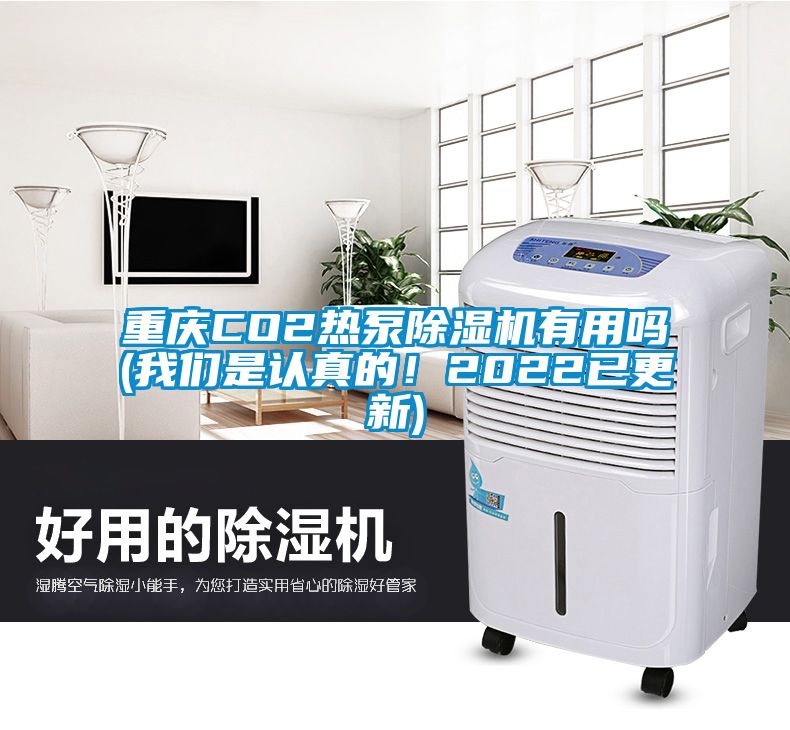 重慶CO2熱泵除濕機有用嗎(我們是認真的！2022已更新)