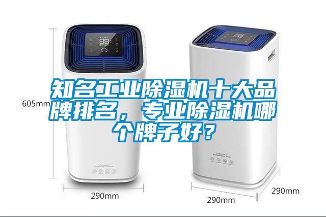 知名工業(yè)除濕機十大品牌排名，專業(yè)除濕機哪個牌子好？