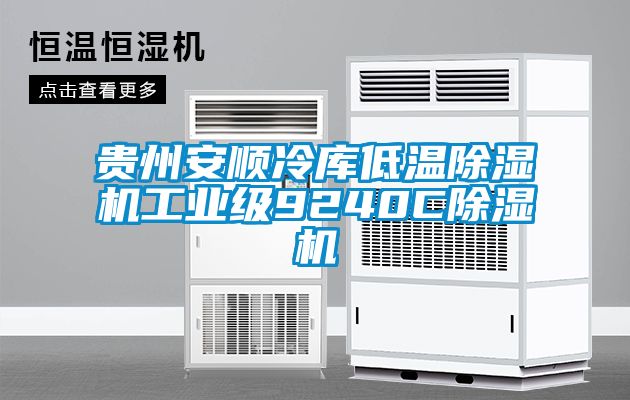 貴州安順冷庫(kù)低溫除濕機(jī)工業(yè)級(jí)9240C除濕機(jī)