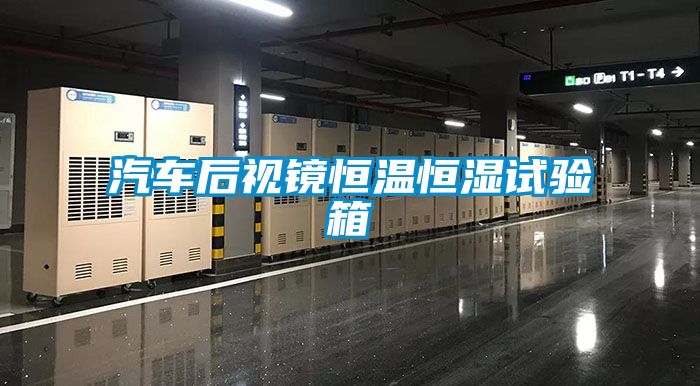 汽車后視鏡恒溫恒濕試驗箱