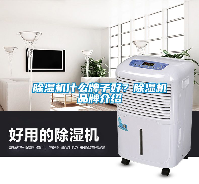 除濕機(jī)什么牌子好？除濕機(jī)品牌介紹