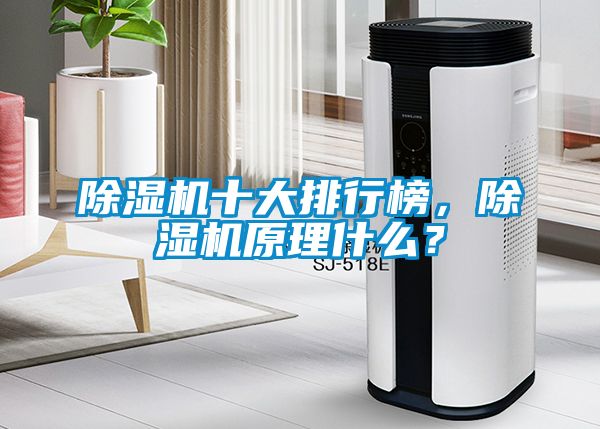 除濕機十大排行榜，除濕機原理什么？