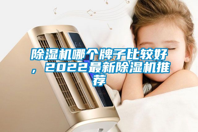 除濕機哪個牌子比較好，2022最新除濕機推薦