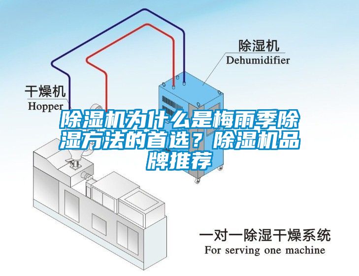 除濕機為什么是梅雨季除濕方法的首選？除濕機品牌推薦