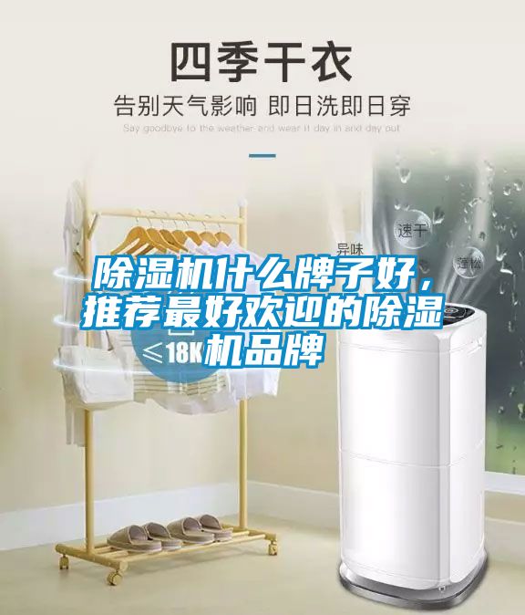 除濕機(jī)什么牌子好，推薦最好歡迎的除濕機(jī)品牌