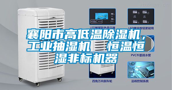 襄陽市高低溫除濕機，工業(yè)抽濕機  恒溫恒濕非標機器