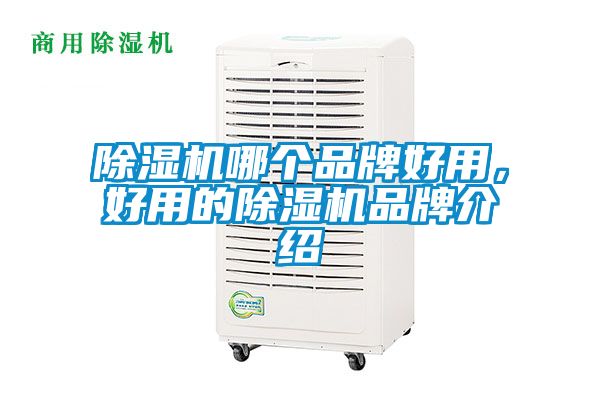 除濕機哪個品牌好用，好用的除濕機品牌介紹