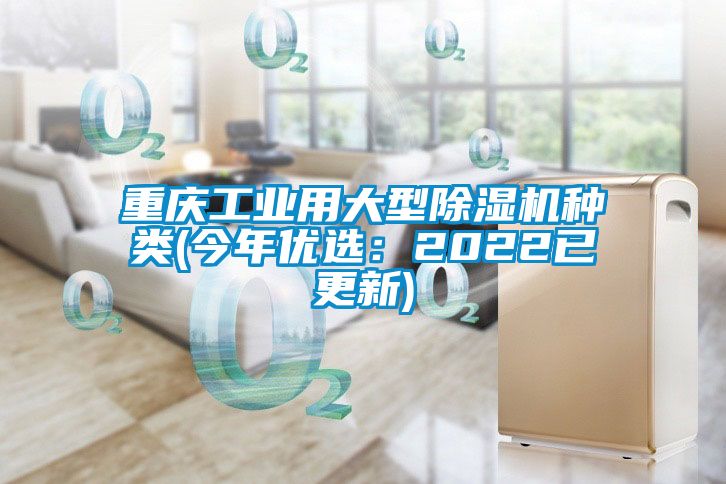 重慶工業(yè)用大型除濕機(jī)種類(今年優(yōu)選：2022已更新)