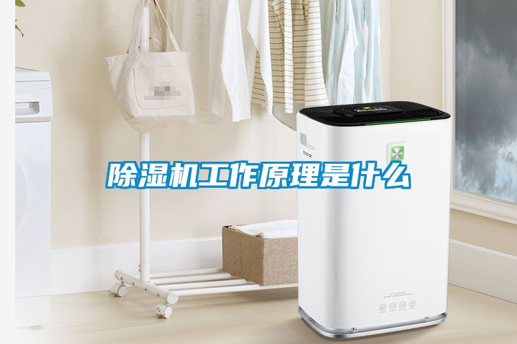 除濕機工作原理是什么