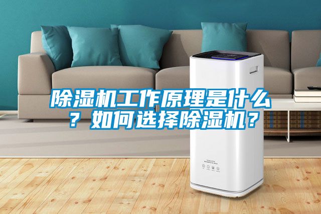 除濕機工作原理是什么？如何選擇除濕機？