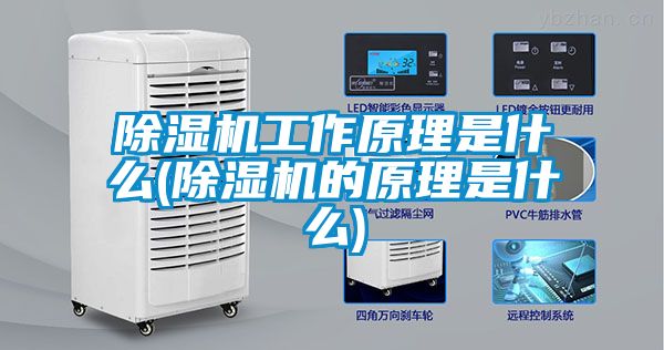 除濕機工作原理是什么(除濕機的原理是什么)