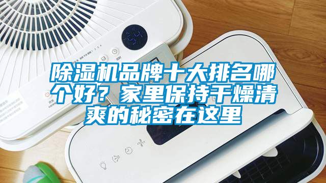 除濕機品牌十大排名哪個好？家里保持干燥清爽的秘密在這里