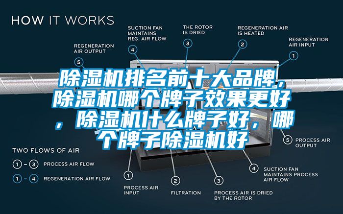 除濕機排名前十大品牌，除濕機哪個牌子效果更好，除濕機什么牌子好，哪個牌子除濕機好