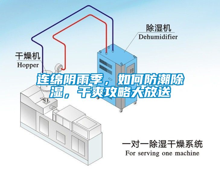 連綿陰雨季，如何防潮除濕，干爽攻略大放送