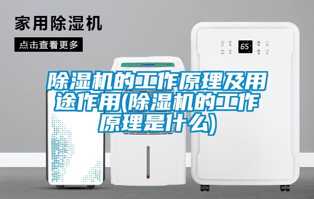 除濕機的工作原理及用途作用(除濕機的工作原理是什么)