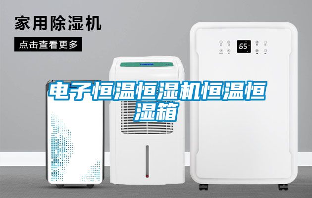 電子恒溫恒濕機恒溫恒濕箱