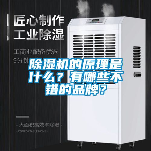 除濕機的原理是什么？有哪些不錯的品牌？