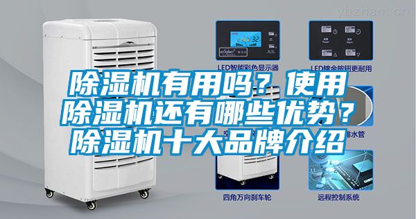 除濕機(jī)有用嗎？使用除濕機(jī)還有哪些優(yōu)勢(shì)？除濕機(jī)十大品牌介紹