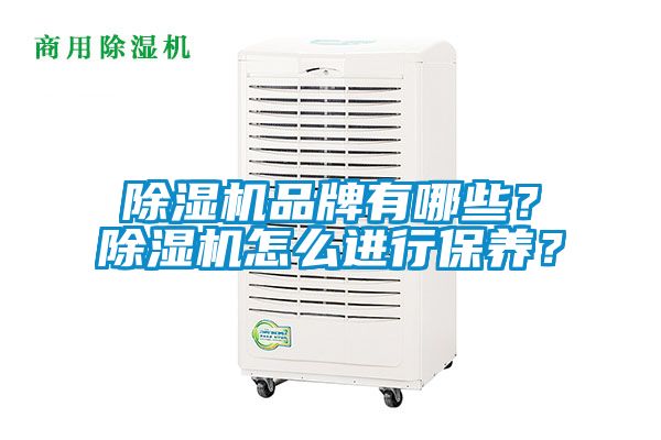 除濕機(jī)品牌有哪些？除濕機(jī)怎么進(jìn)行保養(yǎng)？