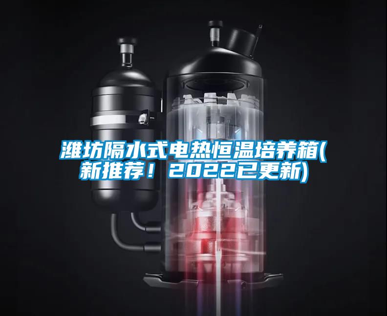 濰坊隔水式電熱恒溫培養(yǎng)箱(新推薦！2022已更新)