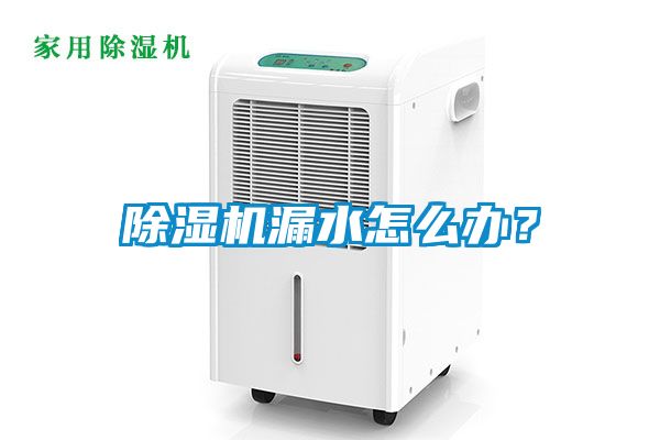 除濕機漏水怎么辦？