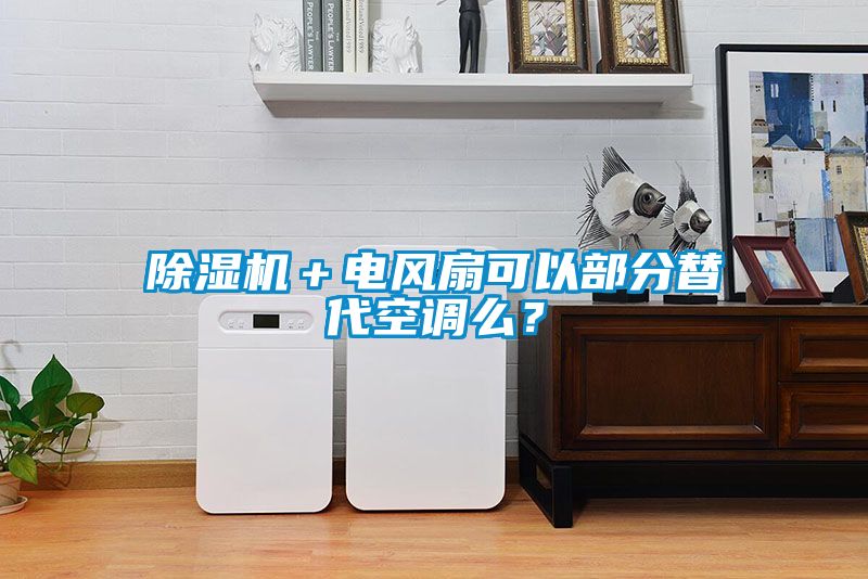 除濕機＋電風扇可以部分替代空調(diào)么？