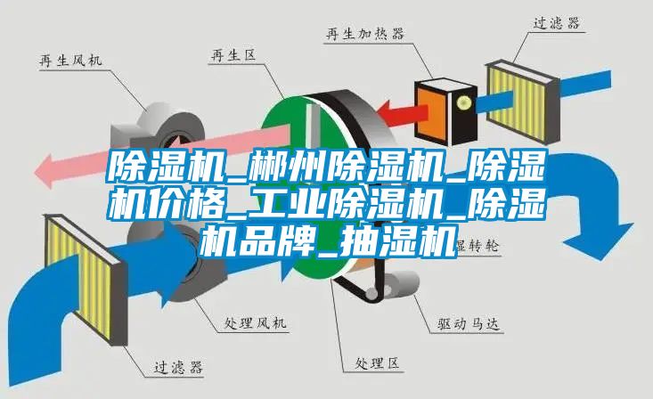 除濕機_郴州除濕機_除濕機價格_工業(yè)除濕機_除濕機品牌_抽濕機